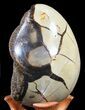 Septarian Dragon Egg Geode - Crystal Filled #40898-2